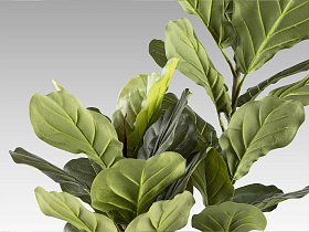 Higuera violin Искусственное растение H200