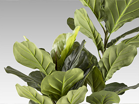 Higuera violin Искусственное растение H200