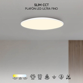 8691 Потолочный светильник SLIM CCT