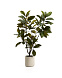 Искусственное растение Magnolia в белом горшке, 160 см