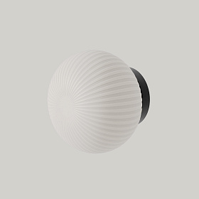 Настенный/потолочный светильник Irzo матовый черный