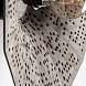 Настенный светильник JACQUARD 35815