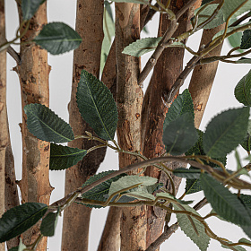 Искусственное растение FICUS 37730