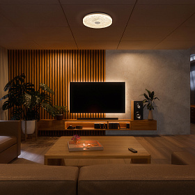 9183 Потолочный светильник FROZEN