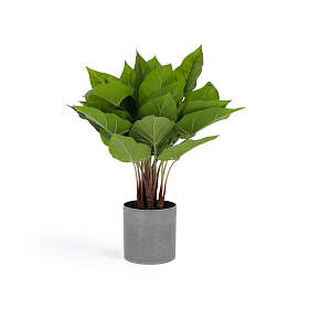 Flower Искусственный антуриум 45 см