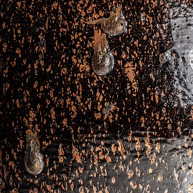 Амфора ANQUELINA