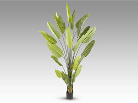 Ave paraiso Искусственное растение H250