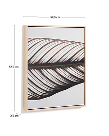 Фотография листа Foliae размер 52,5 x 62,5 см