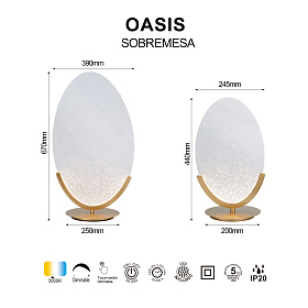 9653 Настольная лампа OASIS