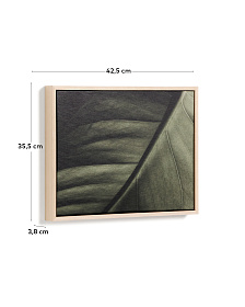 Фотография листа Foliae размер 32,5 x 42,5 см