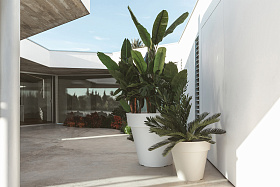 Кашпо Maceta ø40x35