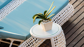 Столик для лежака Dynasty WHITE MUSHROOM