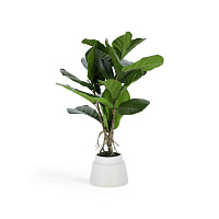 Flower Искусственное растение лирата 60 см