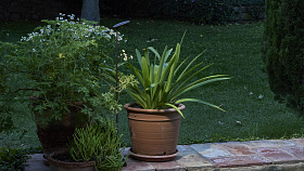 Уличный светильник Birdie S 80S без основания