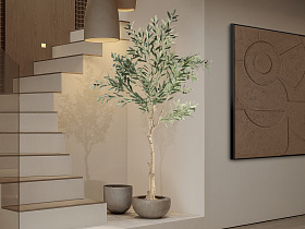 Olivo Искусственное растение H180