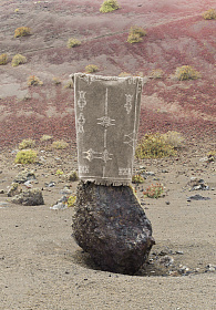 Ковер Kerman коричневый 120*160