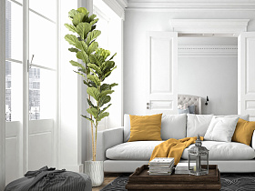 Higuera violin Искусственное растение H200