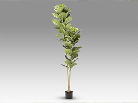 Higuera violin Искусственное растение H200