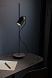Настольная лампа Onfa черный ясень/графитовый металл