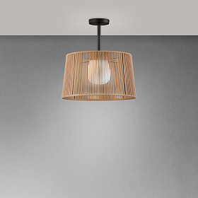 Уличный потолочный светильник Drum ODIP24000/s50