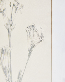 Картина Lirena с ботанической иллюстрацией 50 x 70 см