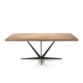Обеденный стол Tanik со столешницей из натурального дуба 250 см