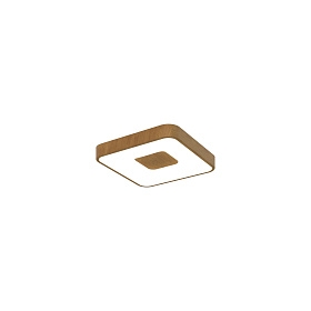 Потолочный светильник COIN 7924