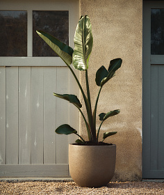 Кашпо Selvi песчаник светло-коричневого цвета  Ø 37 см