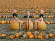 Уличный пуф Costuras круглый