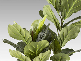 Higuera violin Искусственное растение H200