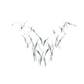 Люстра Selene 46