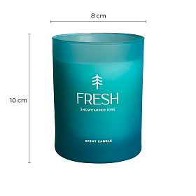 Ароматическая свеча FRESH 500 г
