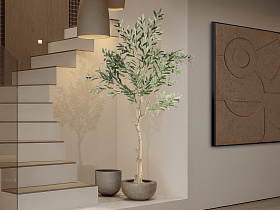 Olivo Искусственное растение H180