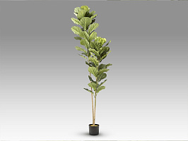 Higuera violin Искусственное растение H200