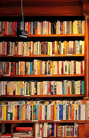 Потолочный/настенный светильник Salter C1 negro