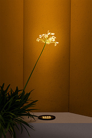 Встраиваемый светильник Tras-25 13º черный