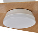 9475 Люстра потолочная-вентилятор SURFER