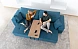Диван раскладной Paradis 3pl ножки - пластик 3 cm A+A+V+V