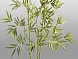 Bambu Искусственное растение H170