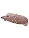 Ковер LITTLE DEER 70х110 А