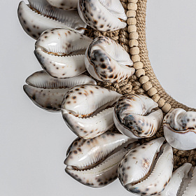 Фигурные ракушки 20557