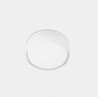 Плафон для ванной Vetro белый