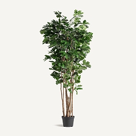 Искусственное растение ROBLE