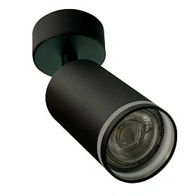 Потолочный светильник-спот ARAS BR08078