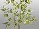Bambu Искусственное растение H170