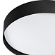 Потолочный светильник Vuk черный LED 40W 2700K