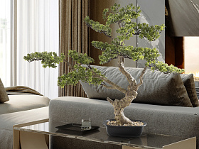Sokan - bonsai 81cm Искусственное растение