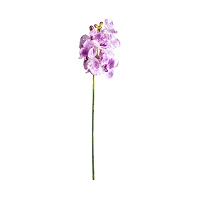 Цветок фиолетового цвета ORQUÍDEA