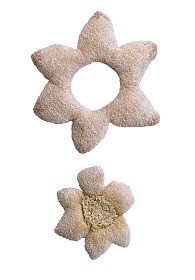 Ковер Лилия с подушкой 160*140