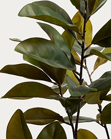 Искусственное растение Magnolia в белом горшке, 160 см